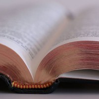 Эксперимент: как прожить год по библейскому закону